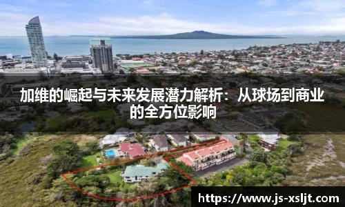 米兰加维的崛起与未来发展潜力解析：从球场到商业的全方位影响